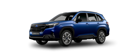 FORESTER HIBRIDO