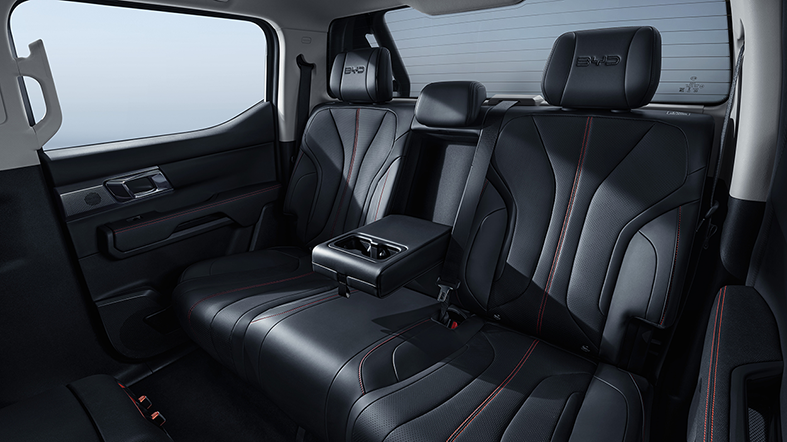 Interior BYD Shark