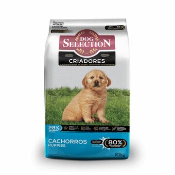 Dog Selecti Criador Cachorro X 21 Krg X1